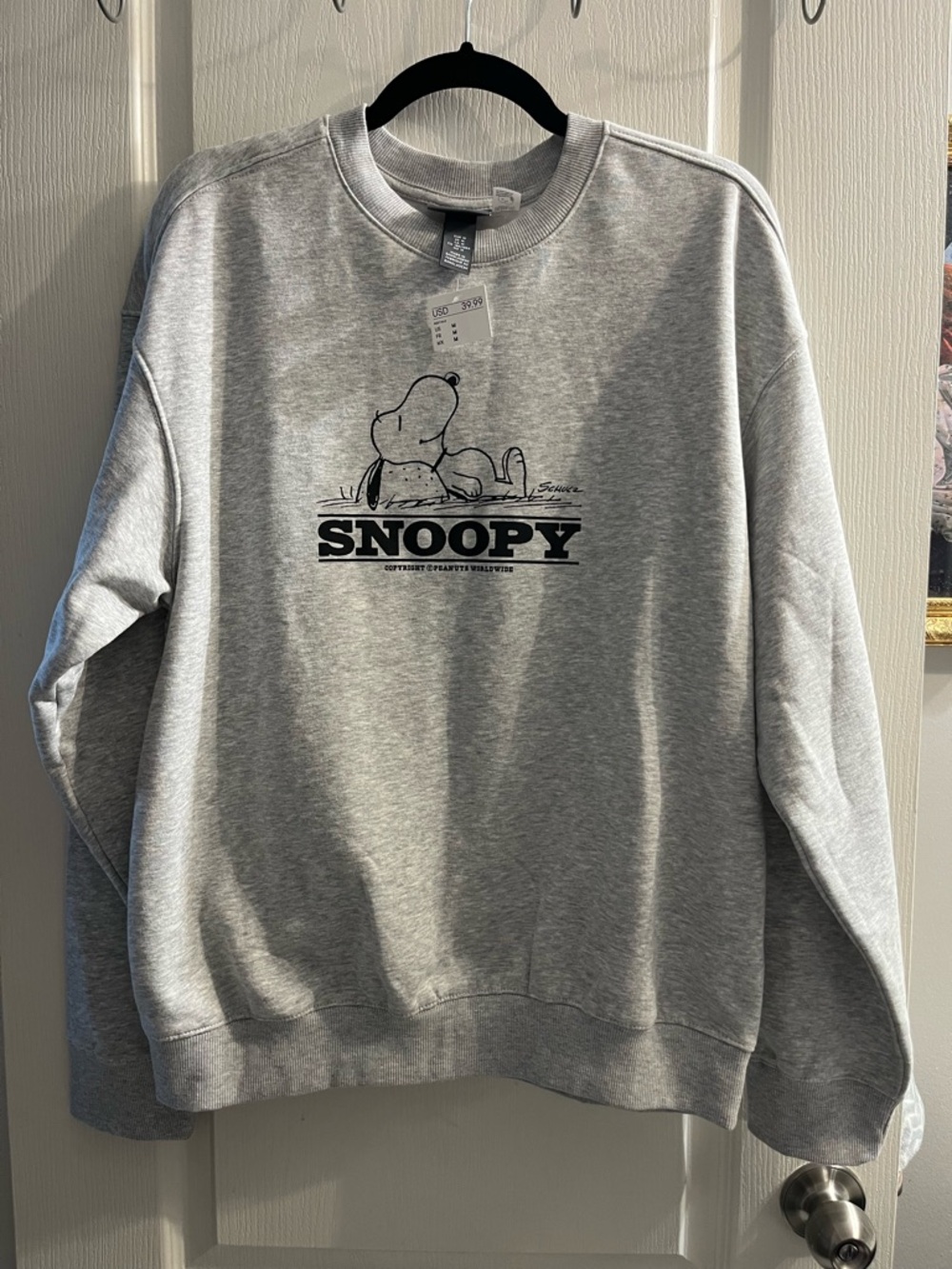 H&M Snoopy Graphic Print Fleece Pullover Sweatshirt Gray Men's M Loose NWT